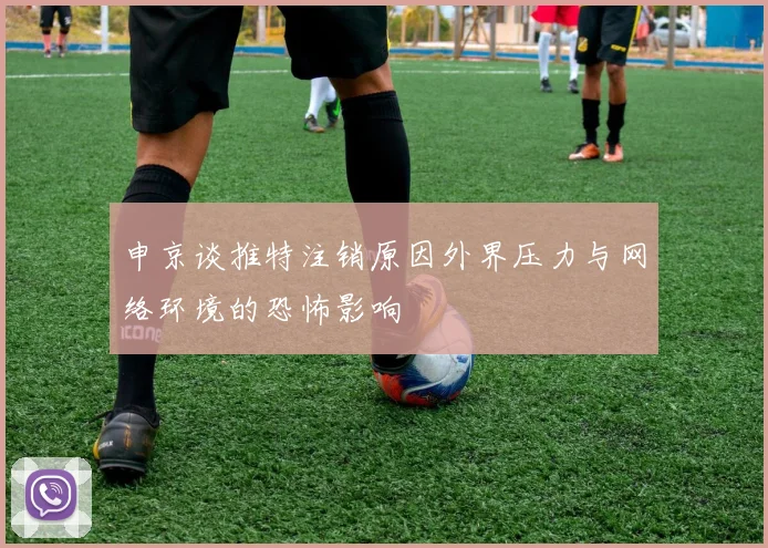 申京谈推特注销原因外界压力与网络环境的恐怖影响